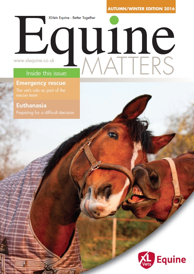 Equine Matters Autumn / Winter 2016 Front Cover